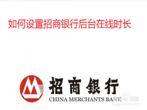 我来说说怎么设置招商银行后台在线时长。