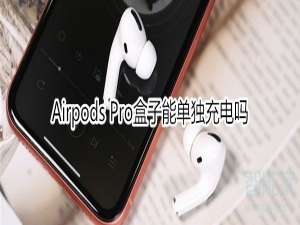我来说说Airpods Pro盒子可以单独充电吗。
