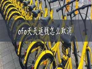 我来说说ofo天天返钱如何取消。