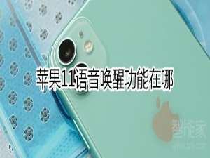 我来说说iphone11语音唤醒功能在什么位置。