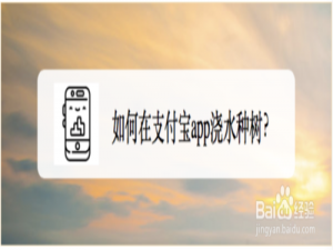 我来说说怎么在支付宝浇水种树。