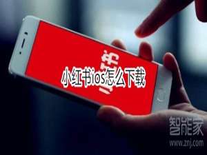 我来说说小红书ios如何下载。