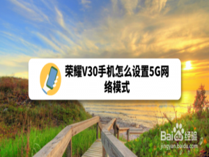 我来说说荣耀V30手机如何设置5G网络模式。