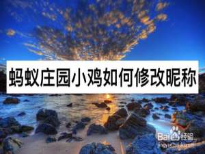 我来说说蚂蚁庄园小鸡怎么修改昵称。