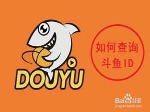 我来说说斗鱼id怎么查。