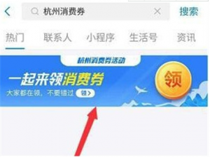 我来说说杭州电子消费券怎么领。