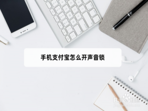 我来说说手机支付宝在哪里开启声音锁。