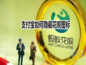 我来说说支付宝隐藏花呗图标功能在哪开启。