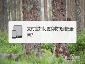 我来说说支付宝到账语音类型设置方法我来说说。