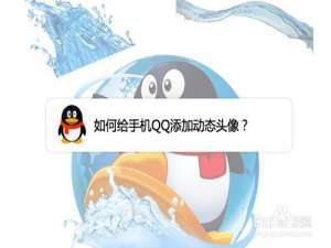 我来说说手机QQ动态头像怎么设置。