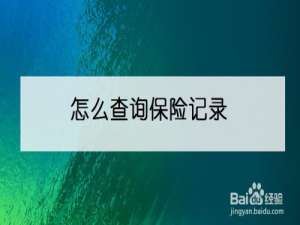 我来说说平安金管家怎么查询保单详情。