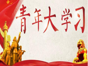 我来说说青年大学习下列属于人类命运共同体理念的内涵是。