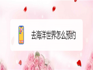 我来说说美团怎么预订海洋世界门票。
