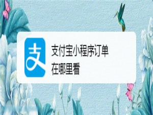我来说说支付宝在哪查看小程序订单信息。