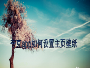 我来说说夸克主题壁纸更换方法教程。