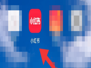 我来说说小红书怎么设置私信通知。