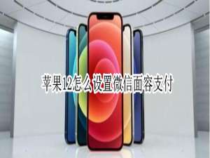 我来说说iPhone12开启微信面容支付方法教程。