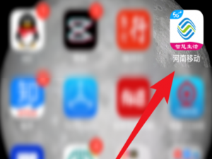 我来说说河南移动流量报告查询流程我来说说。