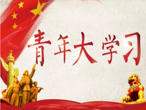 我来说说青年大学习总书记指是硬仗中的硬仗必须付出百倍努力。