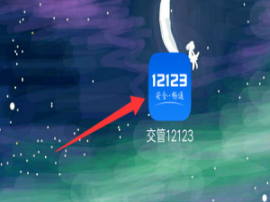 我来说说交管12123新车临时车牌怎么申请。