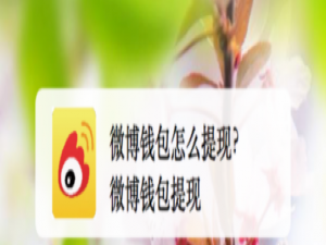 我来说说微博钱包怎么提现。