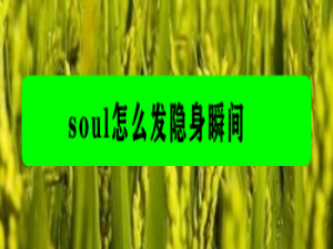 我来说说soul怎么发布隐身瞬间。