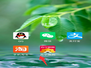 我来说说苏宁易购小额免密支付在哪设置。