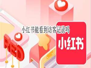 我来说说小红书访客记录可以查询吗。