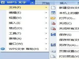 WPS打印功能的具体操作步骤。