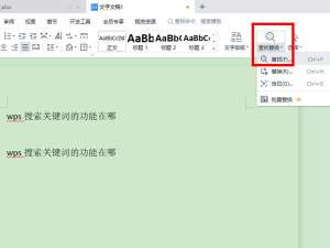 wps搜索关键词在什么地方。
