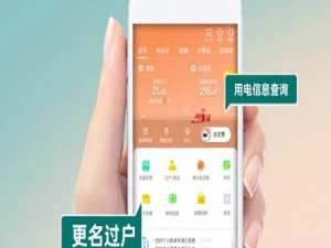 网上国网在哪开具电子发票。