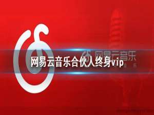 网易云音乐合伙人终身会员福利有哪些。