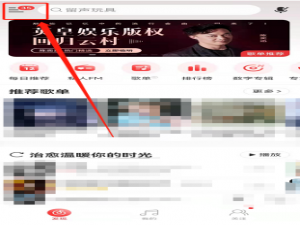 网易云音乐在什么地方查看歌曲播放次数。