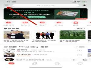 网易云音乐在什么地方打开音量平衡功能 网易云音乐7级什么概念