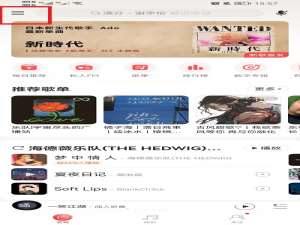 网易云音乐如何隐藏在线状态 网易云音乐如何隐藏动态