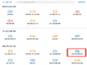 违章缴费就用支付宝，省时又高效