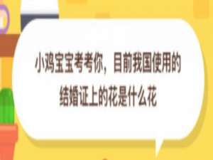 小编教你目前我国使用的结婚证上的花是什么花。