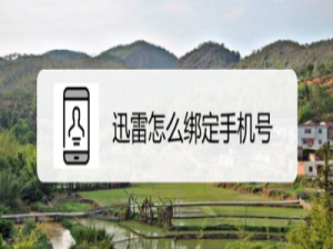 小编教你迅雷如何用手机号登录。