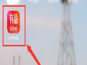 小编教你小米有品如何开发票。