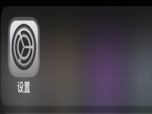 小编教你procreate如何开启防止手掌误触。