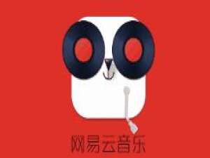 小编教你网易云音乐将歌曲完成分组的详细步骤