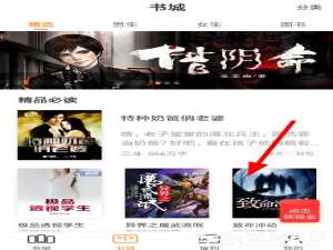 小编教你七猫小说怎么下载小说