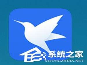 小编教你迅雷怎样发布小视频