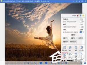 小编教你2345看图王照片添加马赛克的方法