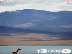 小编教你柚子相机如何关闭音效