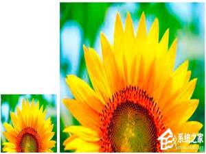 小编教你怎么样无损放大图片