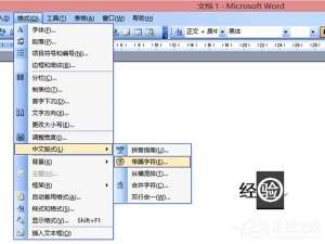 小编教你Word中文字上的圆圈如何去除