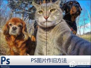 小编教你PS怎么把照片作旧（怎么把照片ps旧一点）