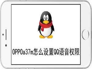 小编教你OPPO a37m怎么设置QQ语音权限。