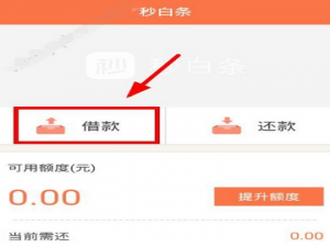 小编教你秒白条中借款的详细介绍方法。